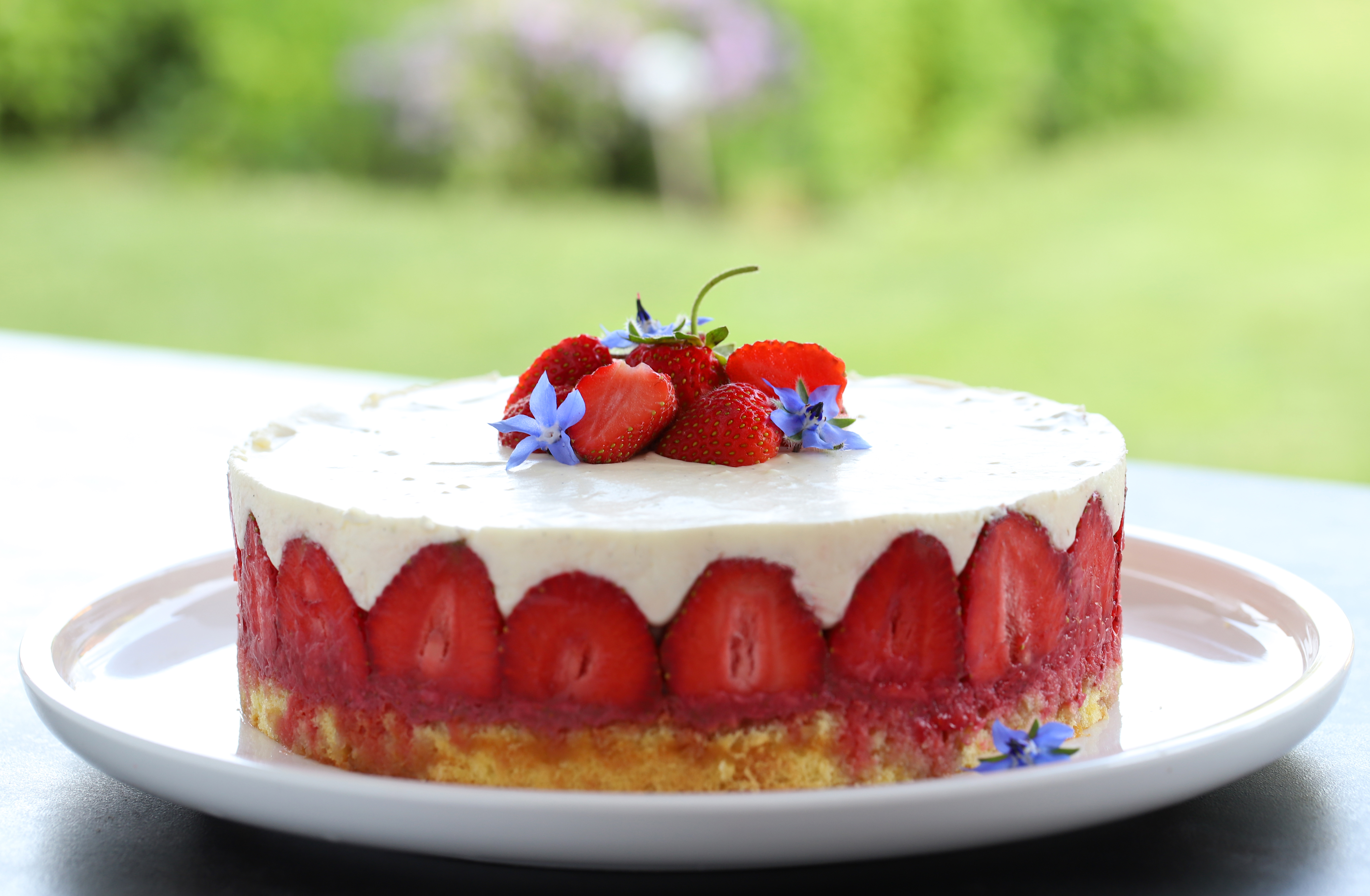Fraisier - Strawberry cake - delimoon.com