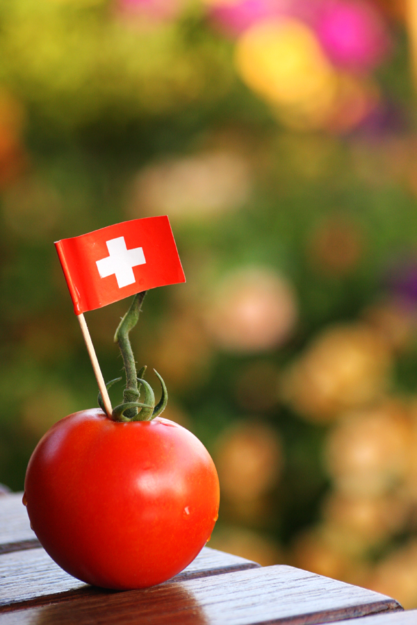 1er août - fête nationale suisse - delimoon.com