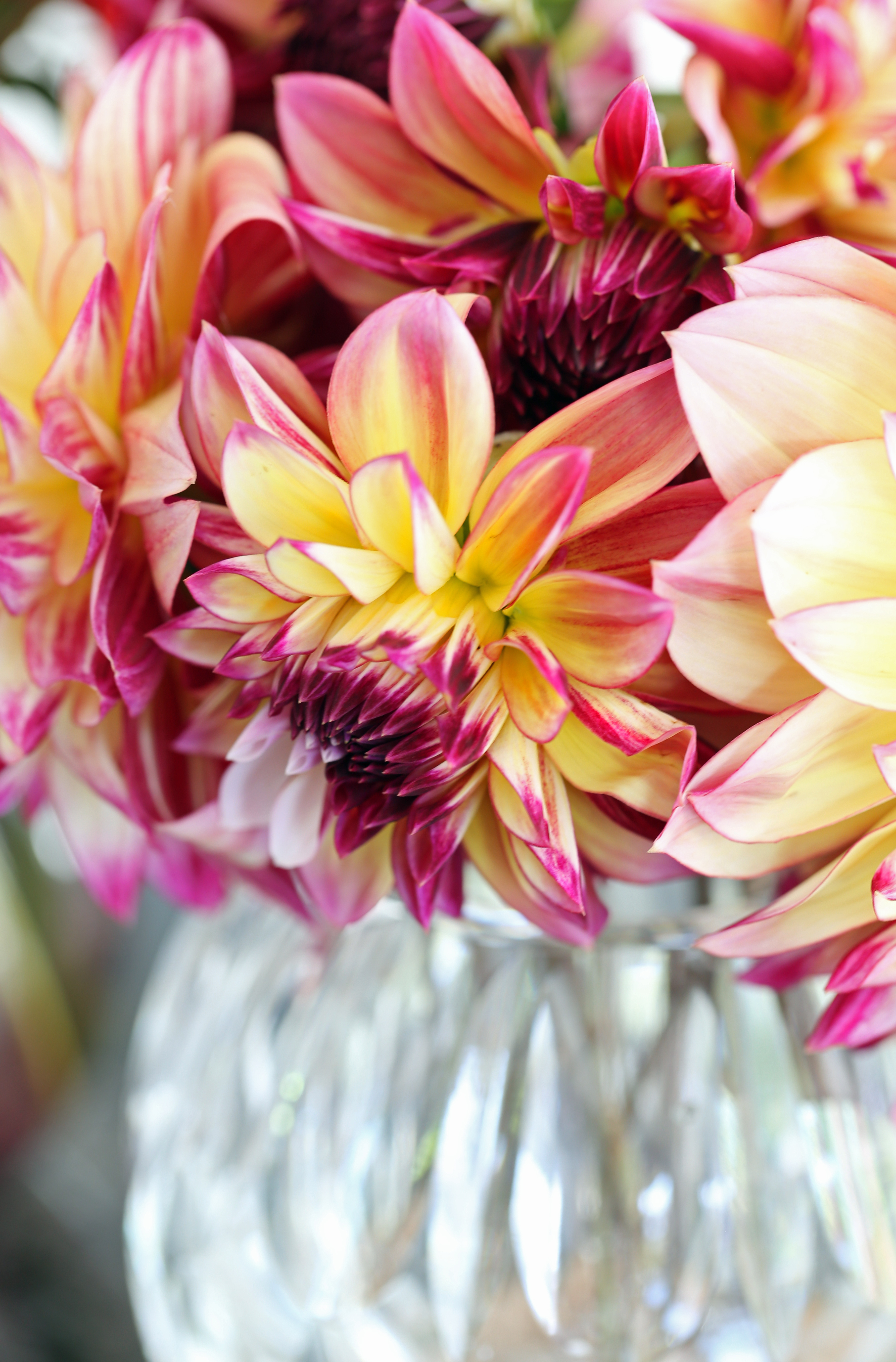coup d'oeil du vendredi - delimoon.com - le bouquet de dahlias - comment ne pas être touché par la beauté des fleurs