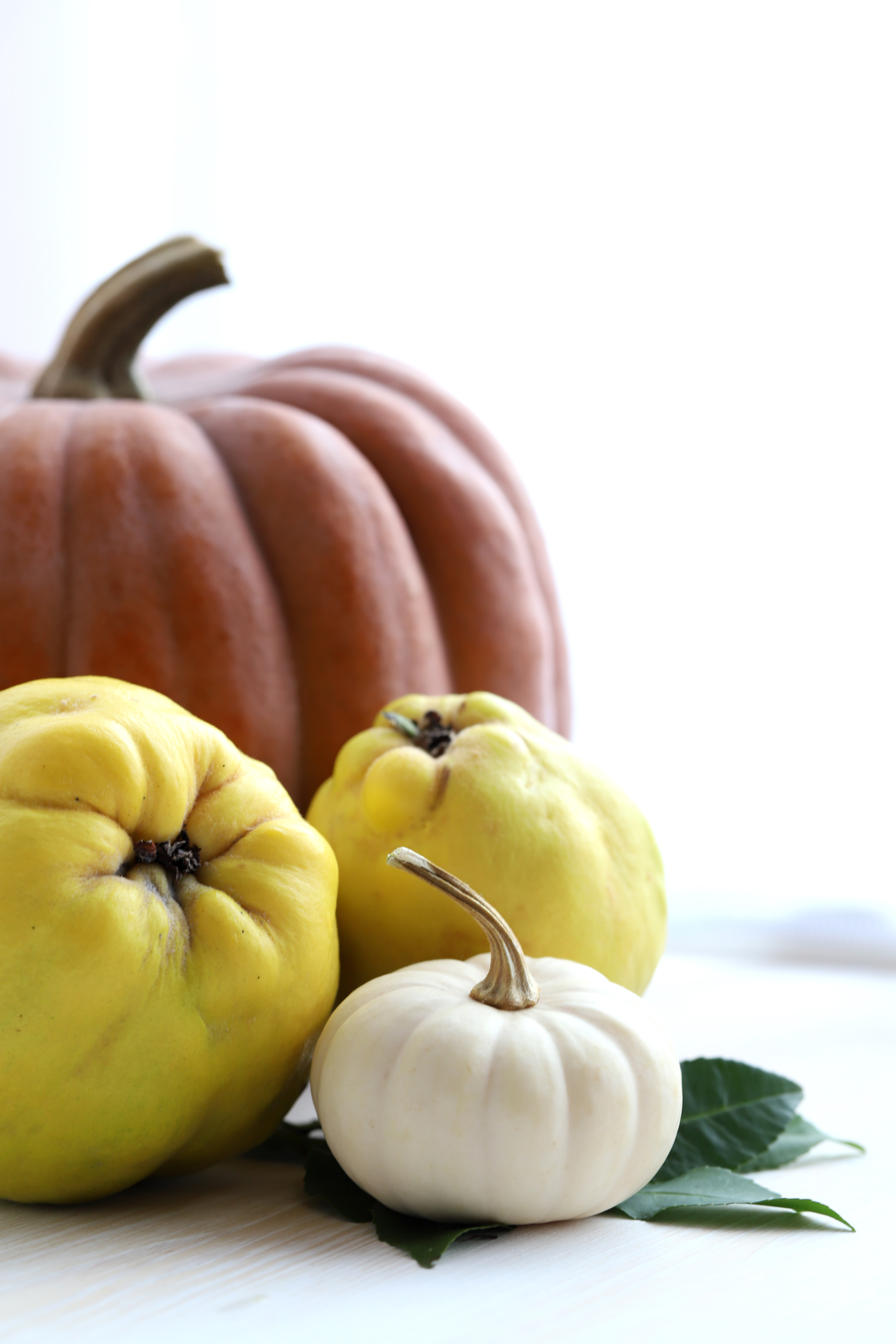 Courge - pumpkin - delimoon.com