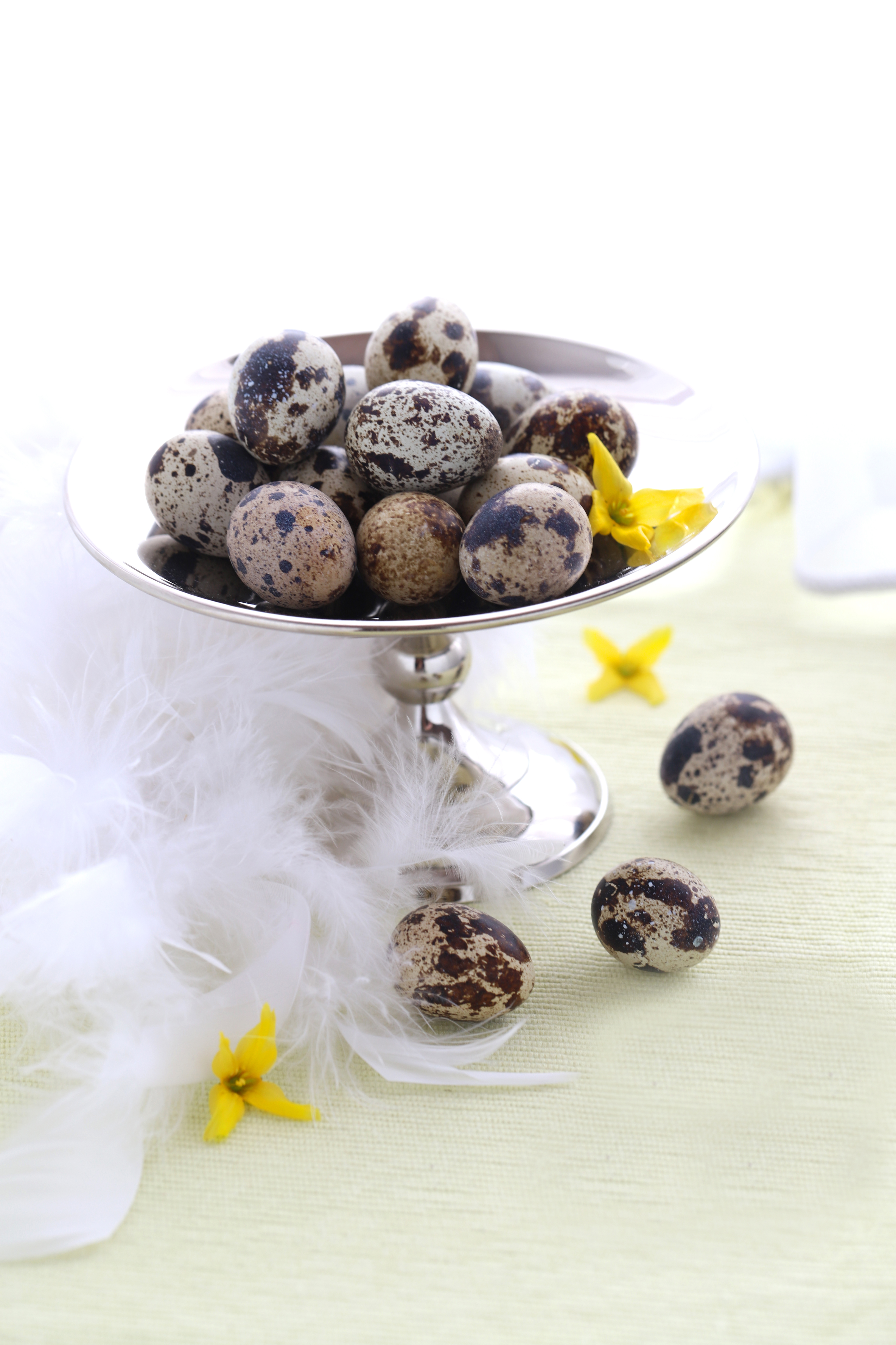 oeufs de caille - quail eggs - delimoon.com