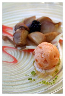 veropetterphotography - quail eggs