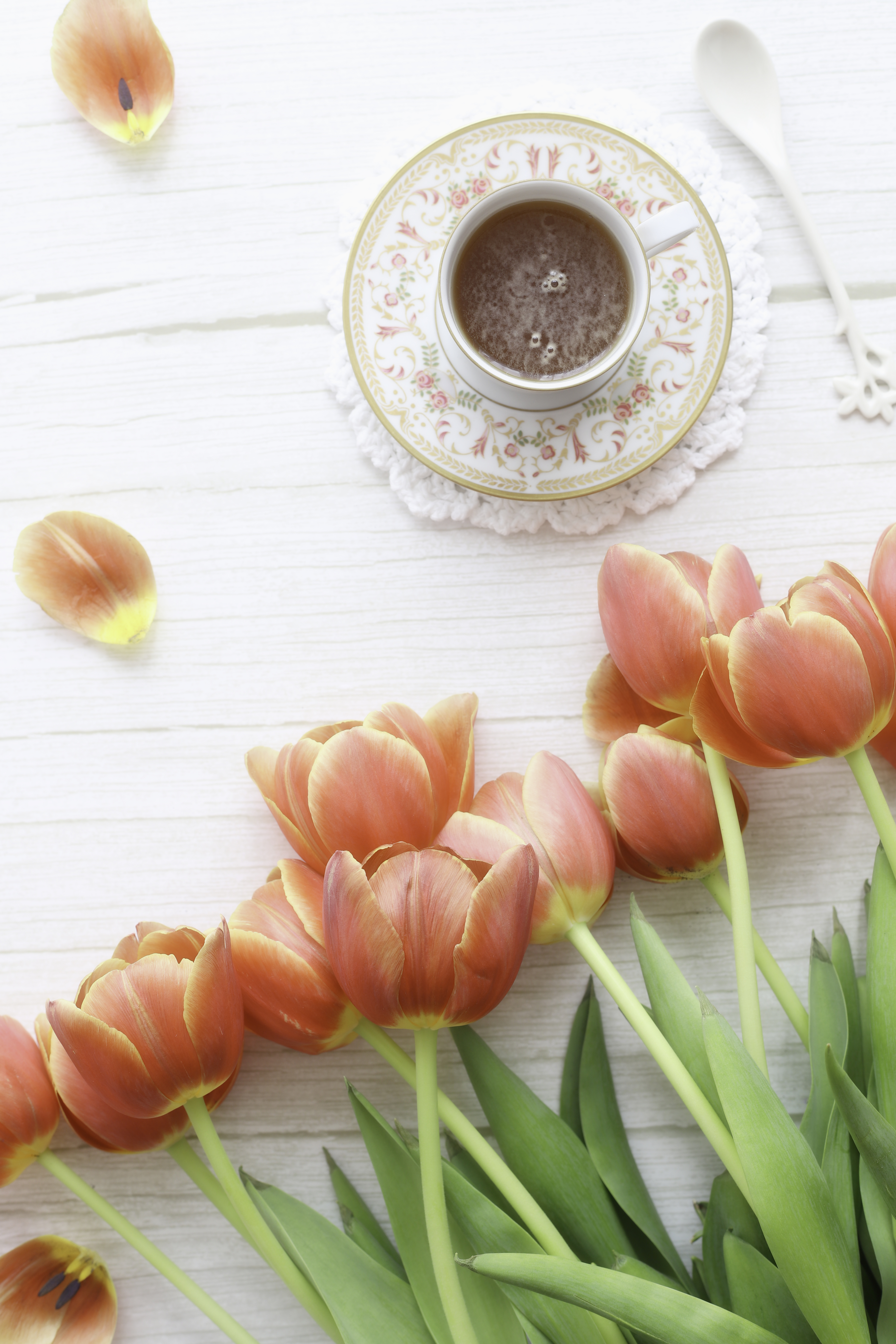 Tea and tulips - delimoon.com